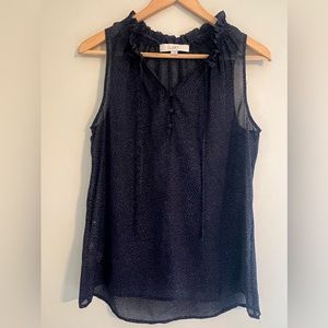 Ann Taylor Loft women’s sheer sleeveless blouse.  Size M.